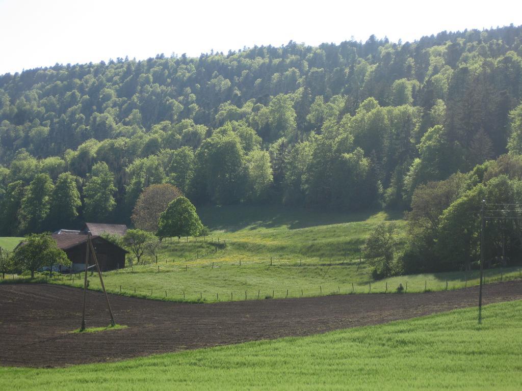 Bed & Breakfast Aux Enges Exterior foto